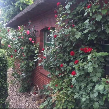 Privat bolig Kleine Einliegerwohnung Oder Im Reetdachhaus *