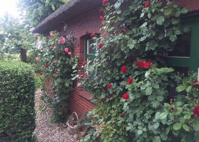 Privat bolig Kleine Einliegerwohnung Oder Im Reetdachhaus *